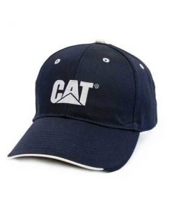 Gorro Azul Cat